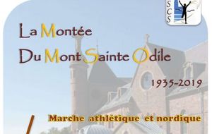 Montée du Mont Sainte Odile à la marche