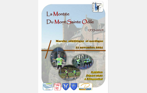 Montée du Mont Sainte Odile à la Marche