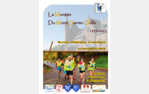 Montée du Mont Sainte Odile à la marche
