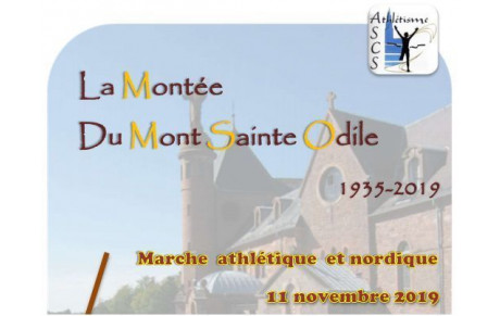 Montée du Mont Sainte Odile à la marche