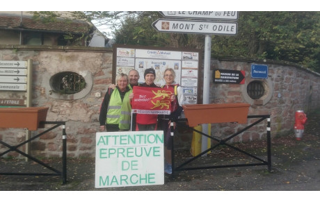 Montée du Mont Sainte Odile, Alsace