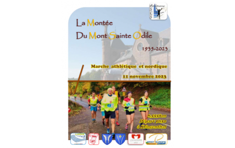 Montée du Mont Sainte Odile à la marche